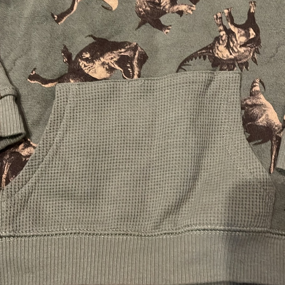 Dinosaur sweatpants and hoodie - Picture 7 of 8